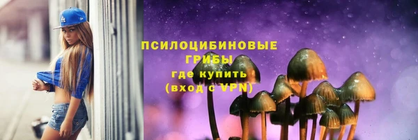 гидра Алексин