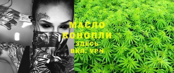 гидра Алексин