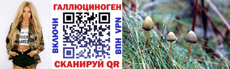 KRAKEN зеркало Нарьян-Мар Псилоцибиновые грибы GOLDEN TEACHER